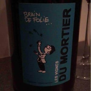 Brain de Folie Rosé - Domaine du Mortier - Fabien & Cyril Boisard 