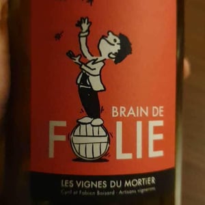 Brain de Folie Rosé - Domaine du Mortier - Fabien & Cyril Boisard 