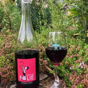 Brain de Folie Rosé - Domaine du Mortier - Fabien & Cyril Boisard 