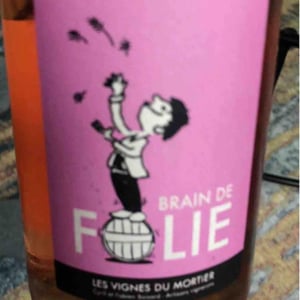 Brain de Folie Rosé - Domaine du Mortier - Fabien & Cyril Boisard 
