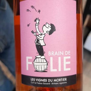 Brain de Folie Rosé - Domaine du Mortier - fabien-cyril-boisard
