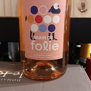 Brain de Folie Rosé - Domaine du Mortier - fabien-cyril-boisard