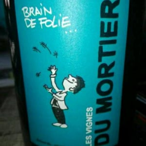 Brain de Folie Rouge (new label) - Domaine du Mortier - Fabien & Cyril Boisard 