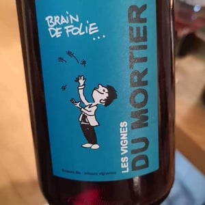 Brain de Folie Rouge (new label) - Domaine du Mortier - fabien-cyril-boisard