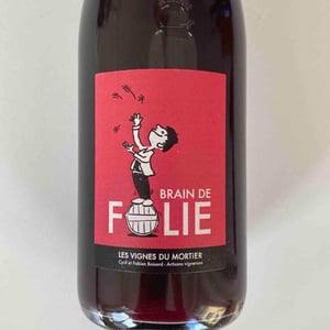 Brain de Folie Rouge (new label) - Domaine du Mortier - Fabien & Cyril Boisard 