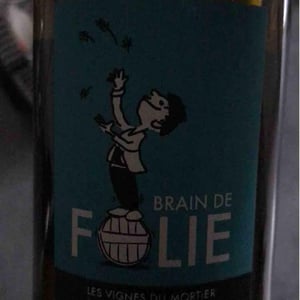 Brain de Folie Sauvignon (old label) - Domaine du Mortier - Fabien & Cyril Boisard 