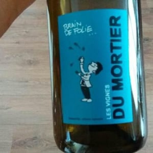 Domaine du Mortier - Fabien & Cyril Boisard - Brain de Folie Sauvignon (old label)