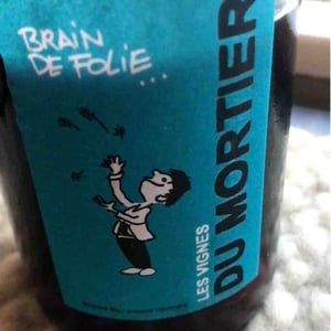 Domaine du Mortier - Fabien & Cyril Boisard - Brain de Folie Sauvignon (old label)