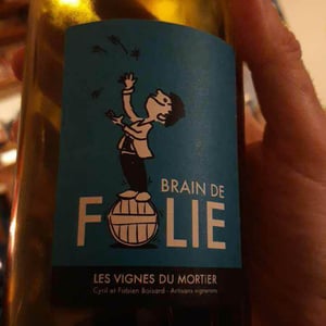 Brain de Folie Sauvignon (old label) - Domaine du Mortier - fabien-cyril-boisard