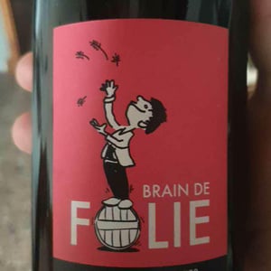 Brain de Folie Sauvignon (old label) - Domaine du Mortier - Fabien & Cyril Boisard 