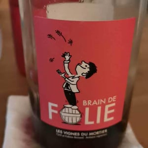 Brain de Folie Sauvignon (old label) - Domaine du Mortier - Fabien & Cyril Boisard 