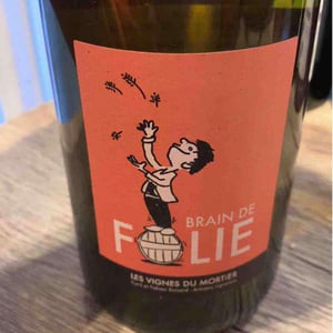 Brain de Folie Sauvignon (old label) - Domaine du Mortier - fabien-cyril-boisard