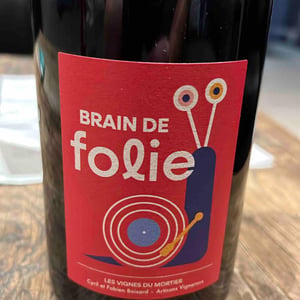 Brain de Folie Rouge (new label) - Domaine du Mortier - Fabien & Cyril Boisard 
