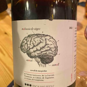 Cervell - Finca Mas Perdut - Josep i Rebeca -2021
