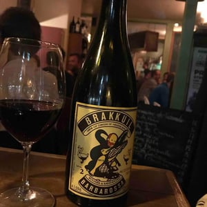 Brakkuil Barbarossa - AA Badenhorst - adi-badenhorst-wimpie-bouwer