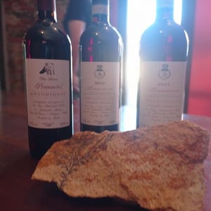 Bramaterra - Odilio Antoniotti - Odilio & Mattia Antoniotti -2018