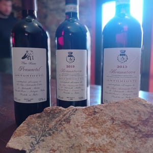 Bramaterra - Odilio Antoniotti - Odilio & Mattia Antoniotti -2018