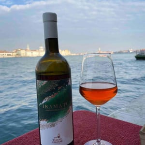 Bramato L'innominabile grigio 2021 - Terre Grosse - famiglia-toninato -2020