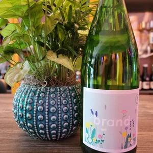 Brand Pfalz Riesling Feinherb - Brand Bros - Weingut Brand - daniel-jonas-brand -2020