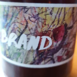 Brand Bros - Weingut Brand - Daniel & Jonas Brand - Brand - Red