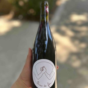 Bras De Fer - Domaine De L’albinie - manuel-veronica-giocanti -2021