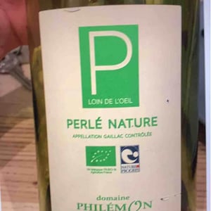 Braucol - Domaine Philémon - Mathieu Vieules -2020