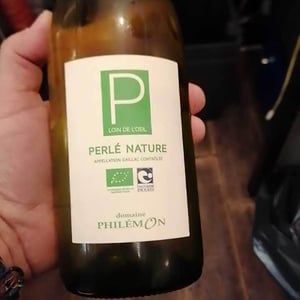Braucol - Domaine Philémon - mathieu-vieules -2020