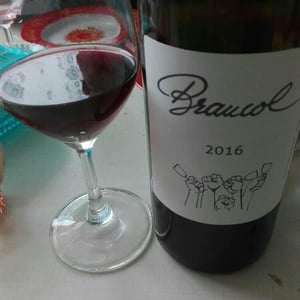 Braucol - Domaine Plageoles - Bernard, Florent & Romain Plageoles 