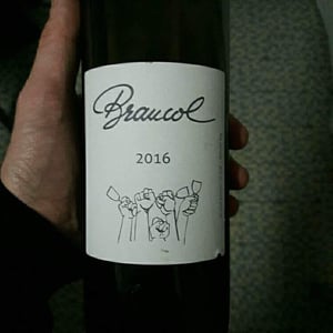 Braucol - Domaine Plageoles - Bernard, Florent & Romain Plageoles 