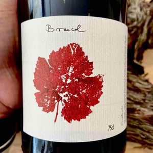 Braucol - Melsolo - melanie-krober