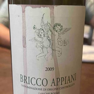 Bricco Appiani - Azienda Vitivinicola Flavio Roddolo - flavio-roddolo -2009