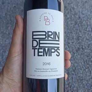 Brin de Temps - Domaine de Brin - damien-bonnet