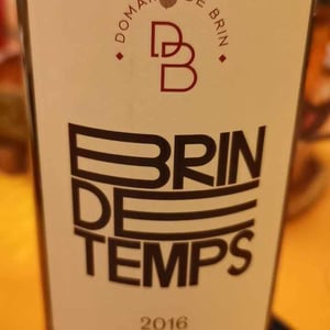 Brin de Temps - Domaine de Brin - Damien Bonnet 