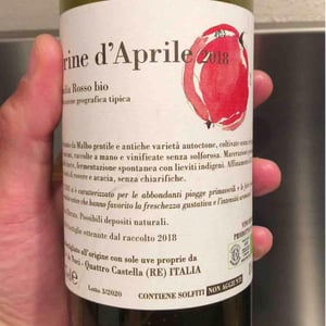 Brine D’Aprile - Ca De Noci - Alberto & Giovanni Masini 