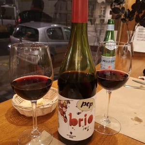 Brio Pop - Tenuta l'Armonia - Andrea Pendin 