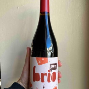 Brio Pop - Tenuta l'Armonia - andrea-pendin