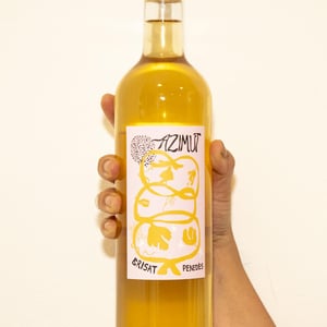 Brisat - Cellers de Can Suriol del Castell - Azimut - assis-suriol -2022