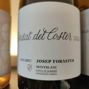 Brisat Del Coster - Conca de barbera - Josep foraster -2021