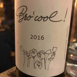 Bro'cool ! - Domaine Plageoles - Bernard, Florent & Romain Plageoles 
