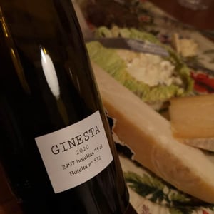 Ginesta - Pares Balta - familia-cusine -2020