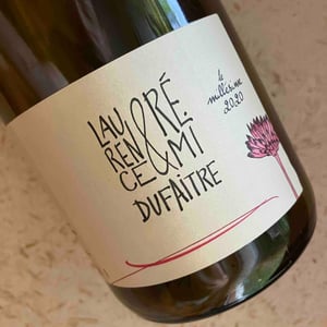 Brouilly - Domaine de Botheland - Rémi Dufaitre & Laurence Liatard 