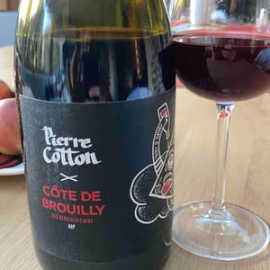 Bonnet-Cotton - Marine Bonnet & Pierre Cotton - Brouilly