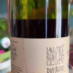 Brouilly - Domaine de Botheland - Rémi Dufaitre & Laurence Liatard 