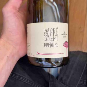 Brouilly - Domaine de Botheland - remi-dufaitre-laurence-liatard