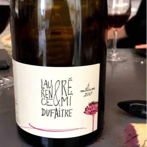Domaine de Botheland - Rémi Dufaitre & Laurence Liatard - Brouilly