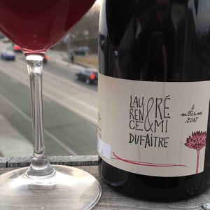 Domaine de Botheland - Rémi Dufaitre & Laurence Liatard - Brouilly