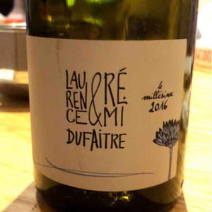 Brouilly - Domaine de Botheland - remi-dufaitre-laurence-liatard