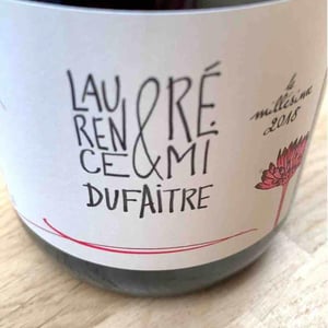 Brouilly - Domaine de Botheland - Rémi Dufaitre & Laurence Liatard 