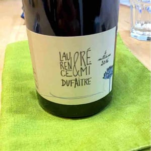 Brouilly - Domaine de Botheland - remi-dufaitre-laurence-liatard