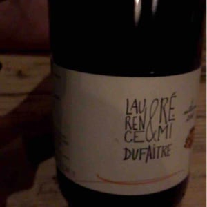 Domaine de Botheland - Rémi Dufaitre & Laurence Liatard - Brouilly